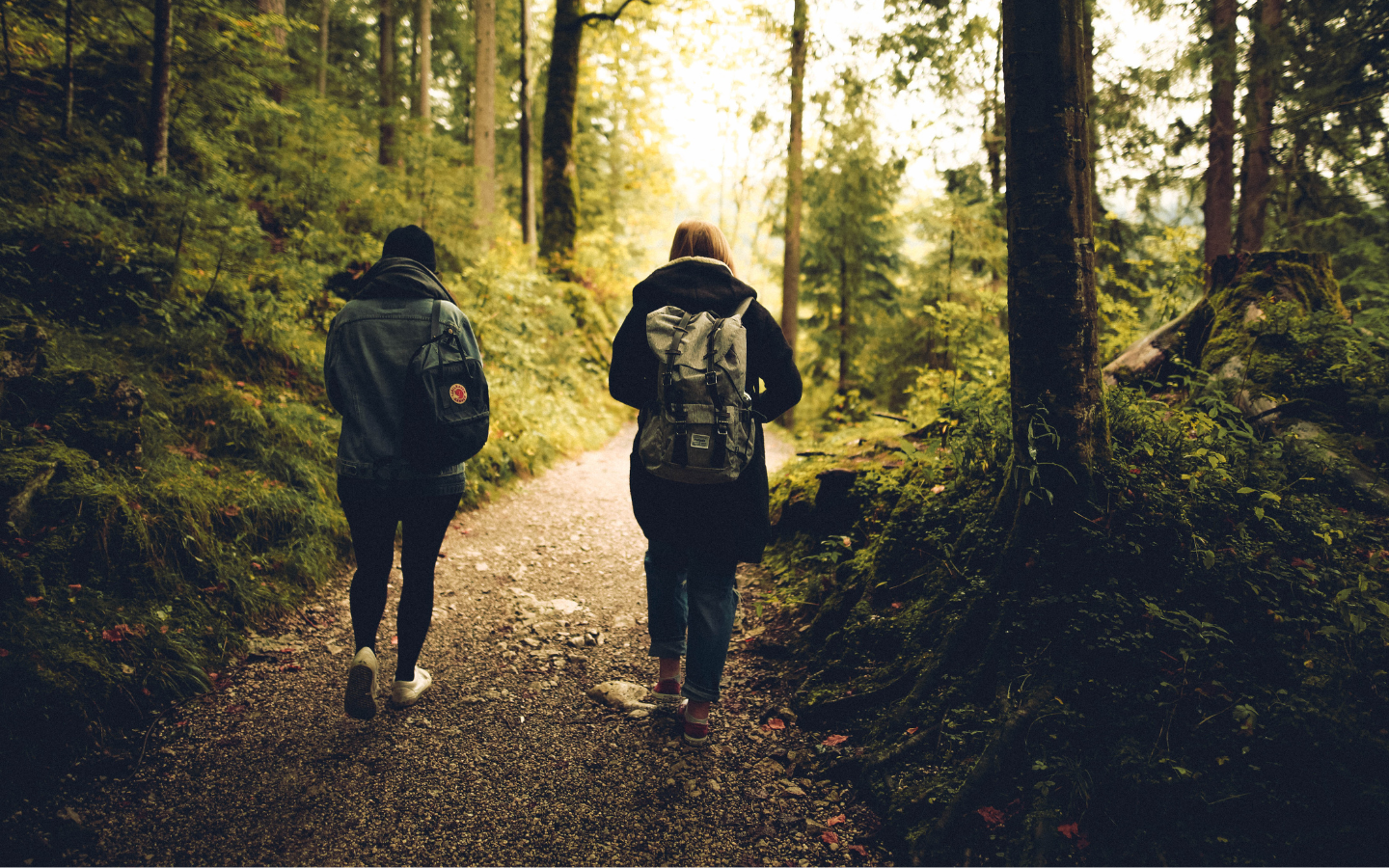 Vandreruter omkring Ejerbavnehøj
