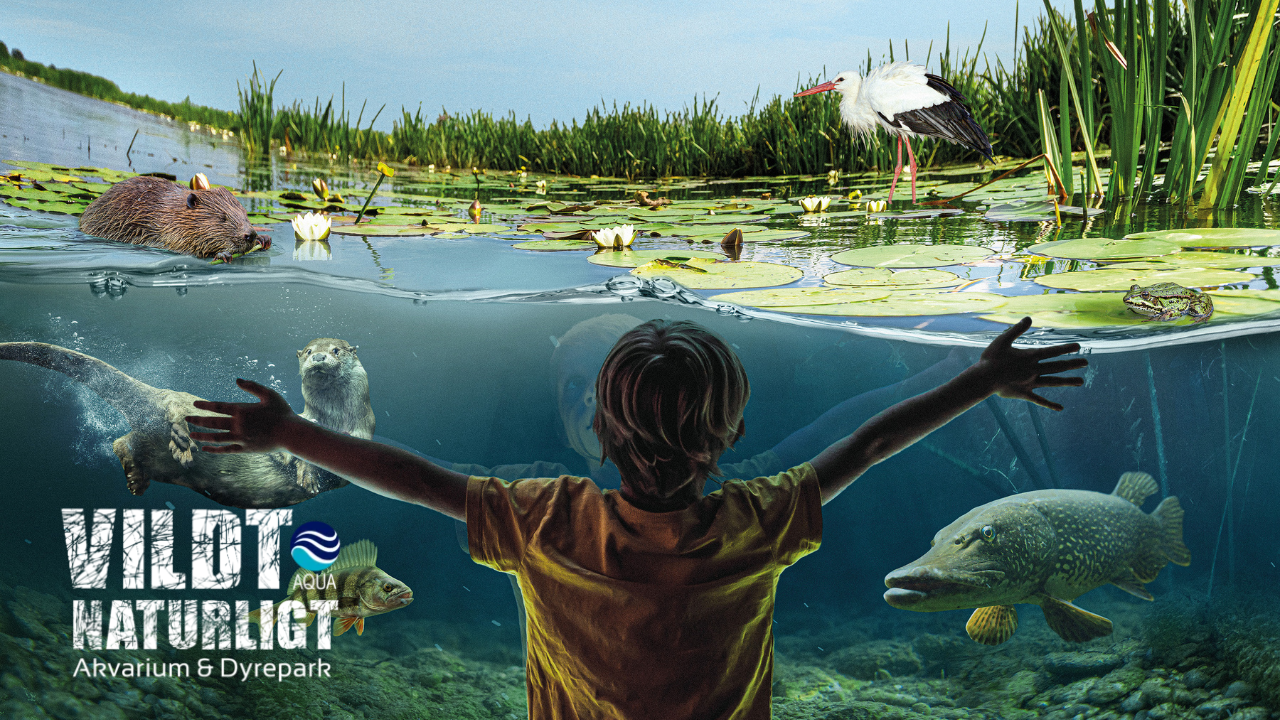 AQUA Akvarium & Dyrepark