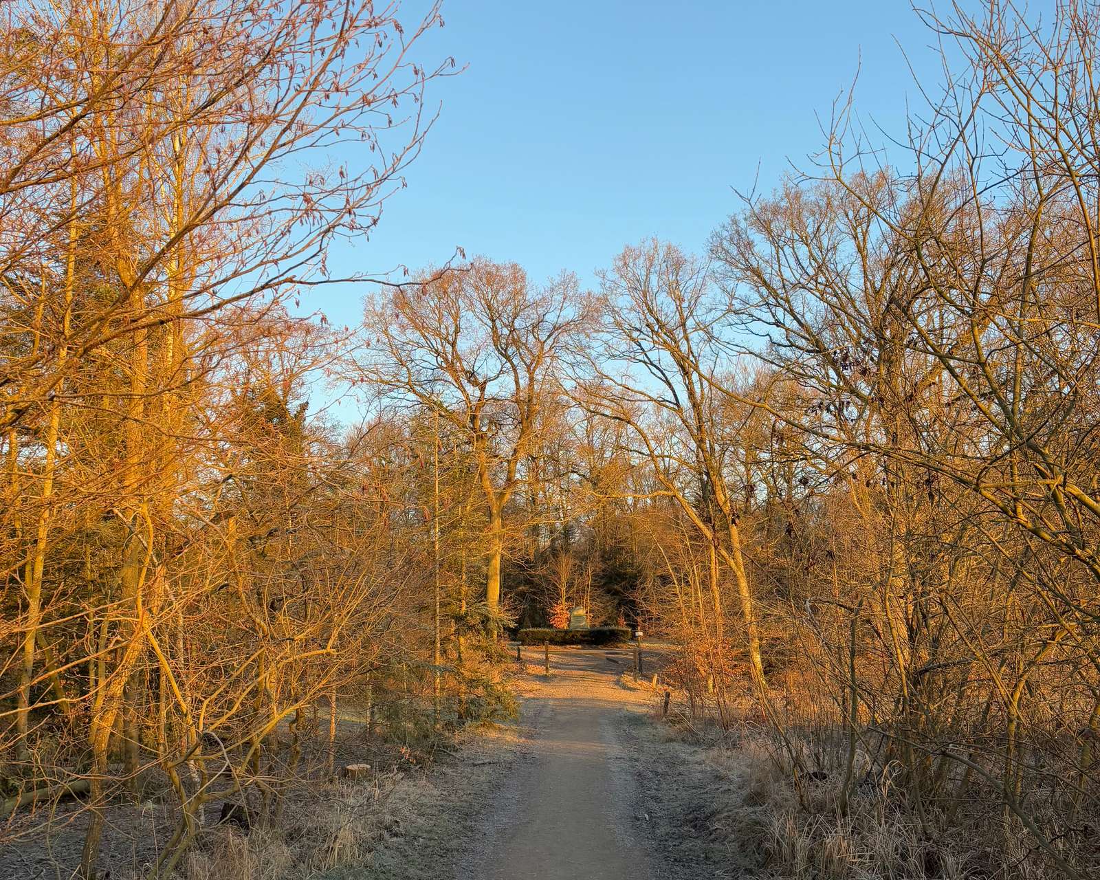 Sø badet om vinteren