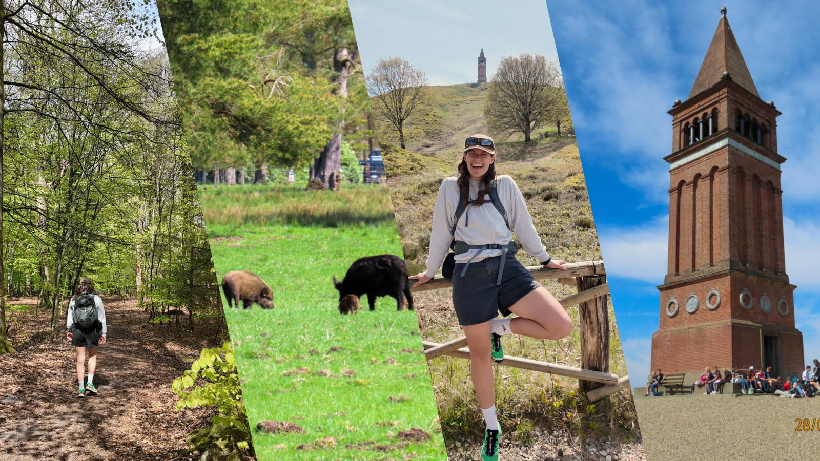 Grafik af vandrerutens højdepunkter