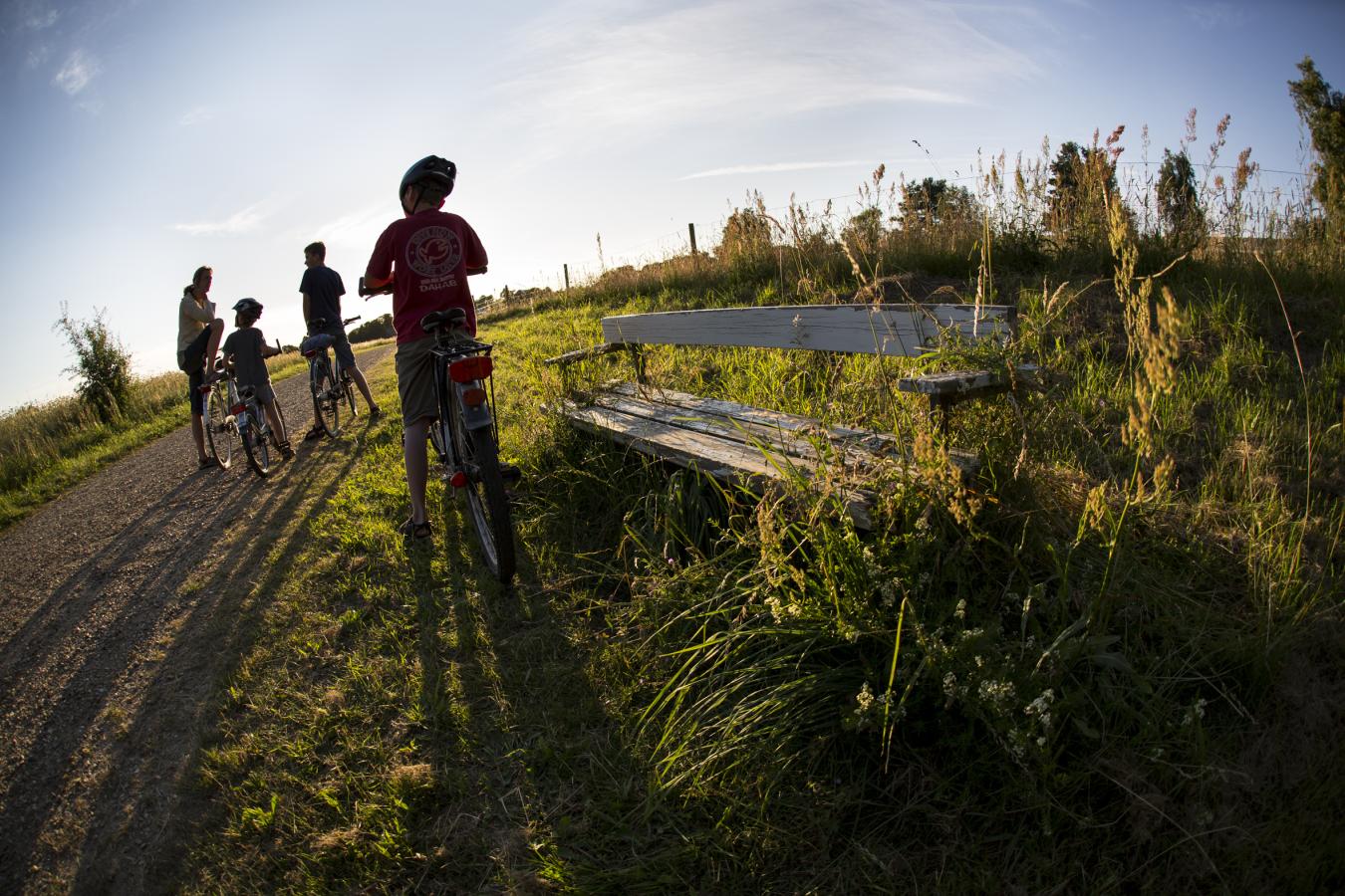 to personer der cykler i skoven