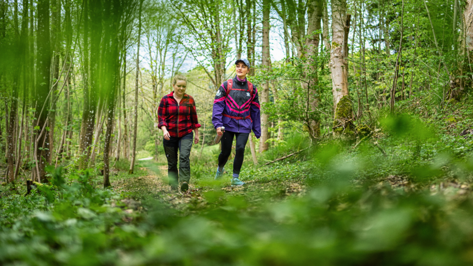 to venner der går i en skov